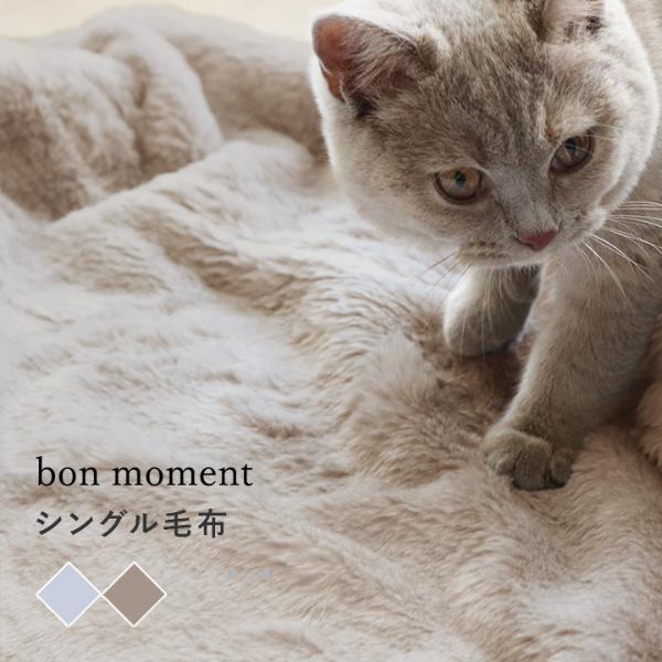 bon moment まるごと猫毛布 シングル マイクロファイバー／ボンモマン【送料無料】