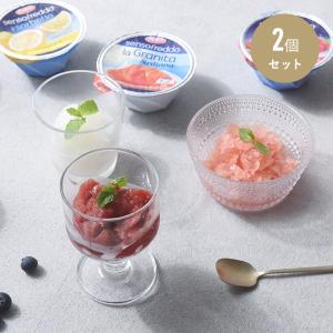 イタリア発 常温保存できる ソルベ／シャーベット 2個セット／dolfin ドルフィン