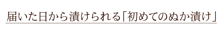 届いた日から漬けられます「初めてのぬか漬け」を応援