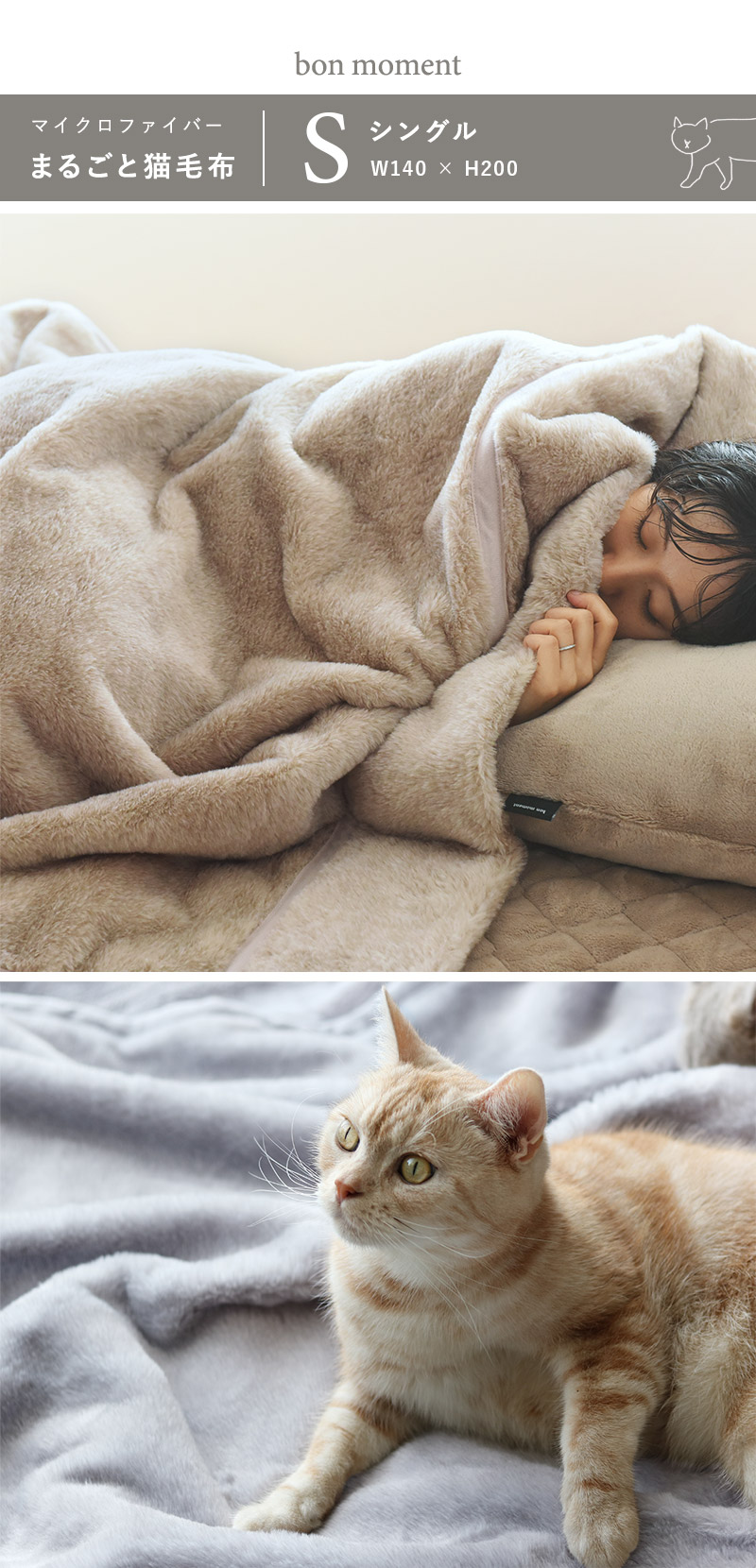 bon moment ふわもこ猫毛布 シングル マイクロファイバー/ボンモマン【送料無料】