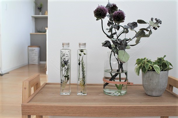 私だけの植物標本　おうちに「ハーバリウム」を飾ろう