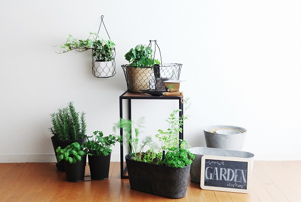【プランツデザイナー富阪基さんに聞く植物のある暮らし・2】 まずは小さな空間から 植物を愉しむ飾り方