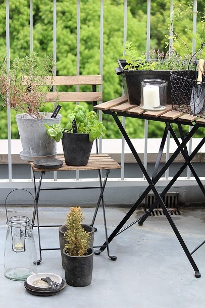 【プランツデザイナー富阪基さんに聞く植物のある暮らし・2】 まずは小さな空間から 植物を愉しむ飾り方