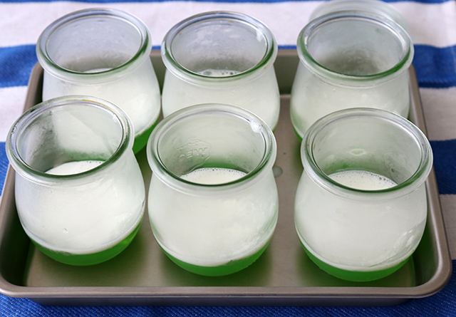 見ても食べてもスイカ!なゼリーで夏を演出