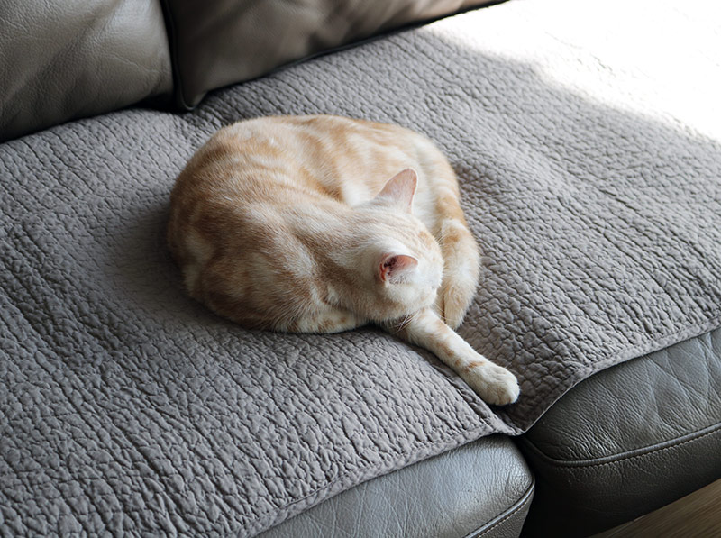 滑らない、なめらか肌触り、洗えて清潔！妥協なしに使える「bon momentソファパッド」