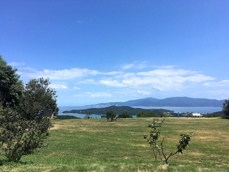 【ありきたりな日常を楽しむためのヒント】新年度、大人だって成長できる