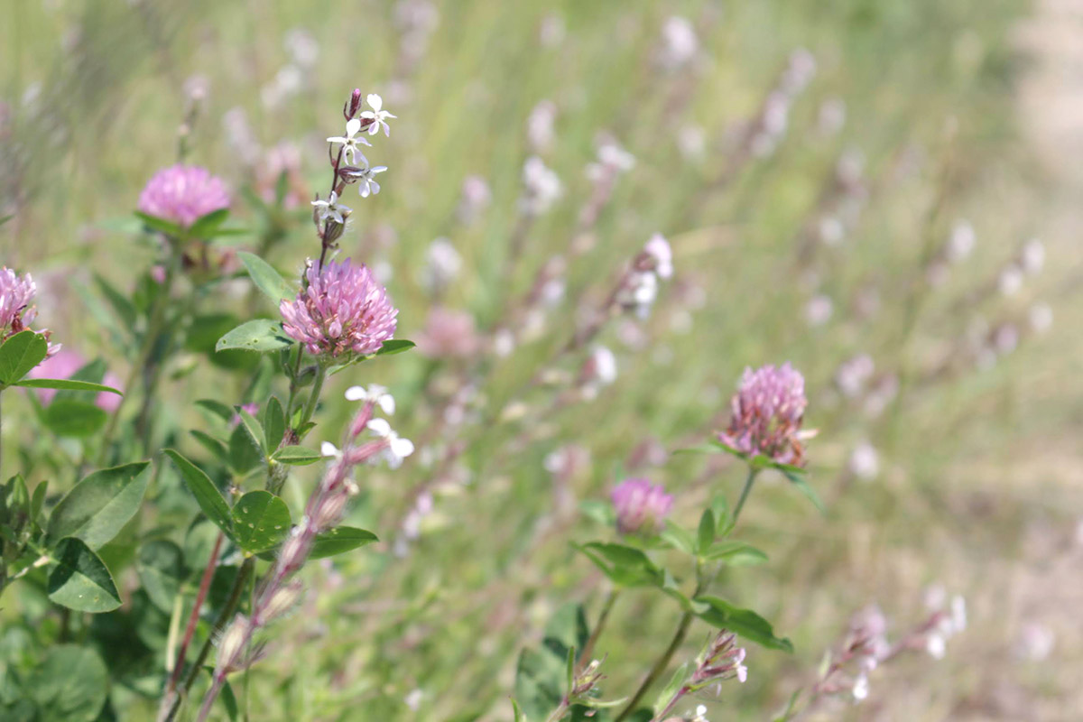 【ありきたりな日常を楽しむためのヒント】深すぎず、浅すぎない、ほどよい関係の作り方