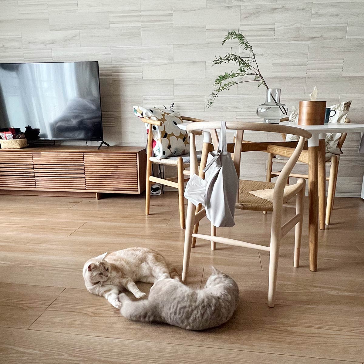 ティッシュまる見えから卒業。「吊るせるティッシュケース」を鼻炎持ちスタッフ3名がお家に迎えてみた