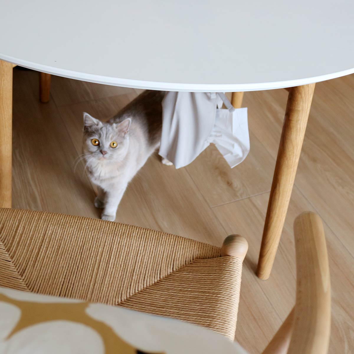 ティッシュまる見えから卒業。「吊るせるティッシュケース」を鼻炎持ちスタッフ3名がお家に迎えてみた