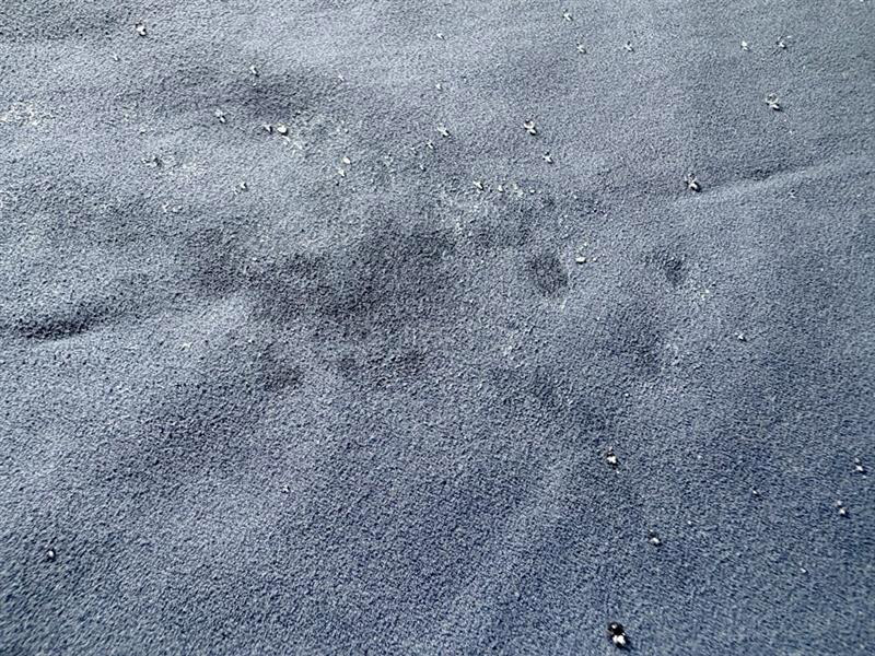 3倍吸ってすぐ乾く「手のひらサイズのバスタオル」、どんな時に使ってる？スタッフのリアルレポをお届け！