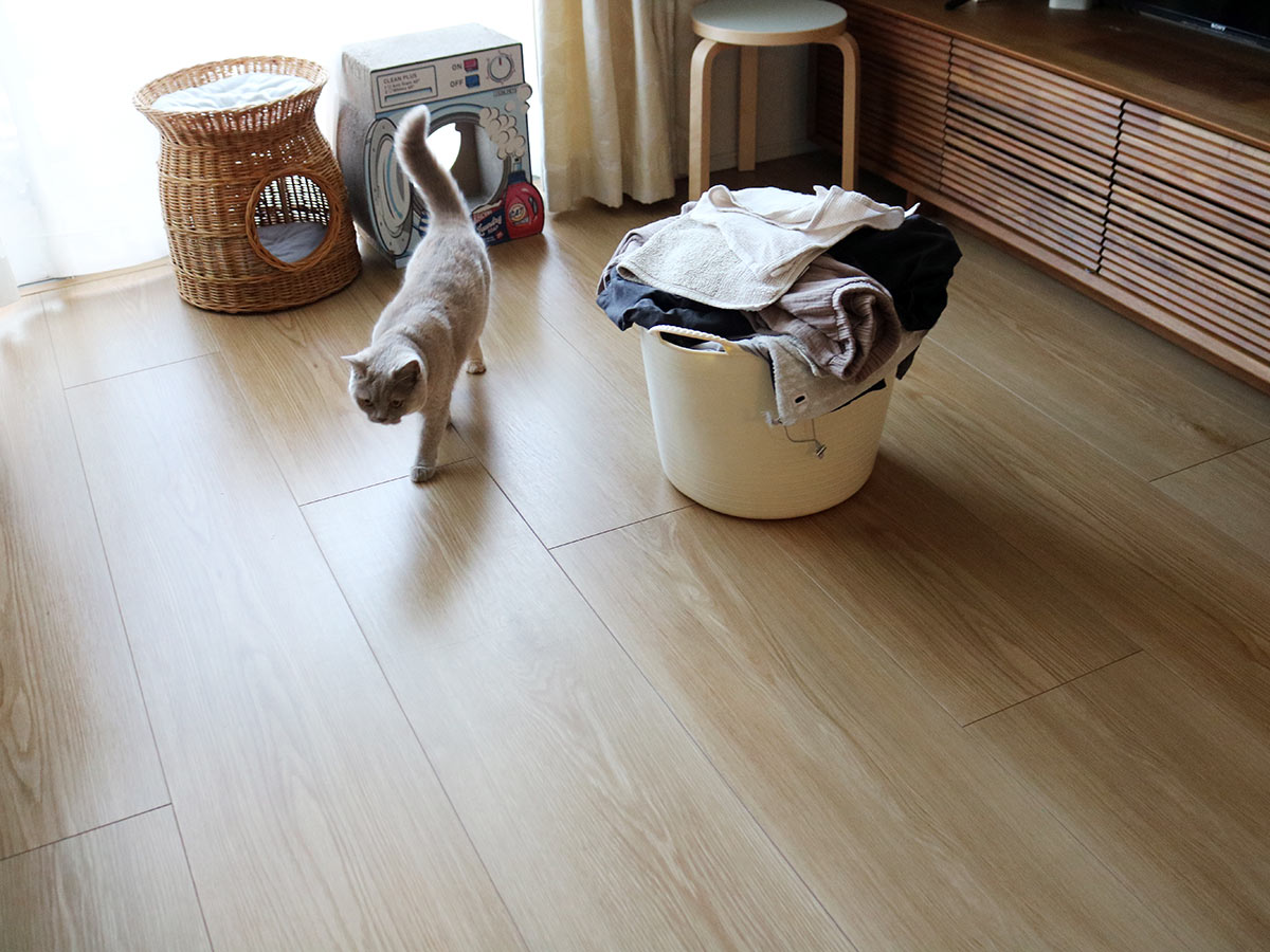 猫飼い＆マンション＆フルタイム共働きのお掃除最適解！マーナの「タッチレスワイパー」使用レポ