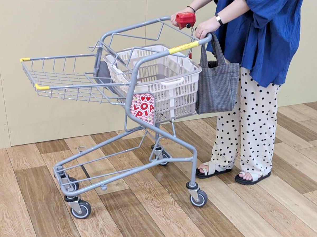 “便利だけどかさばる問題”を解決！折り畳めるレジカゴ＆まるごと保冷バッグでまとめ買いをスムーズに