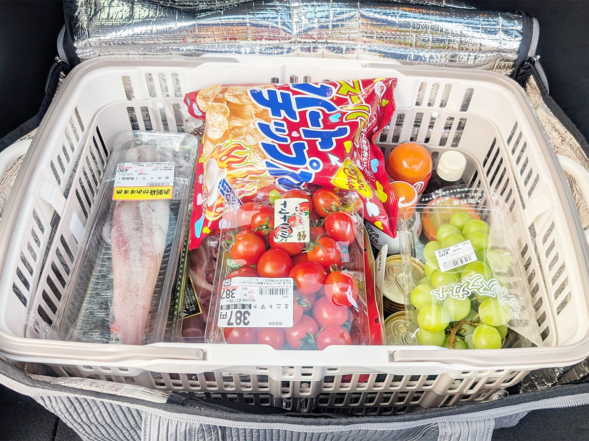“便利だけどかさばる問題”を解決！折り畳めるレジカゴ＆まるごと保冷バッグでまとめ買いをスムーズに