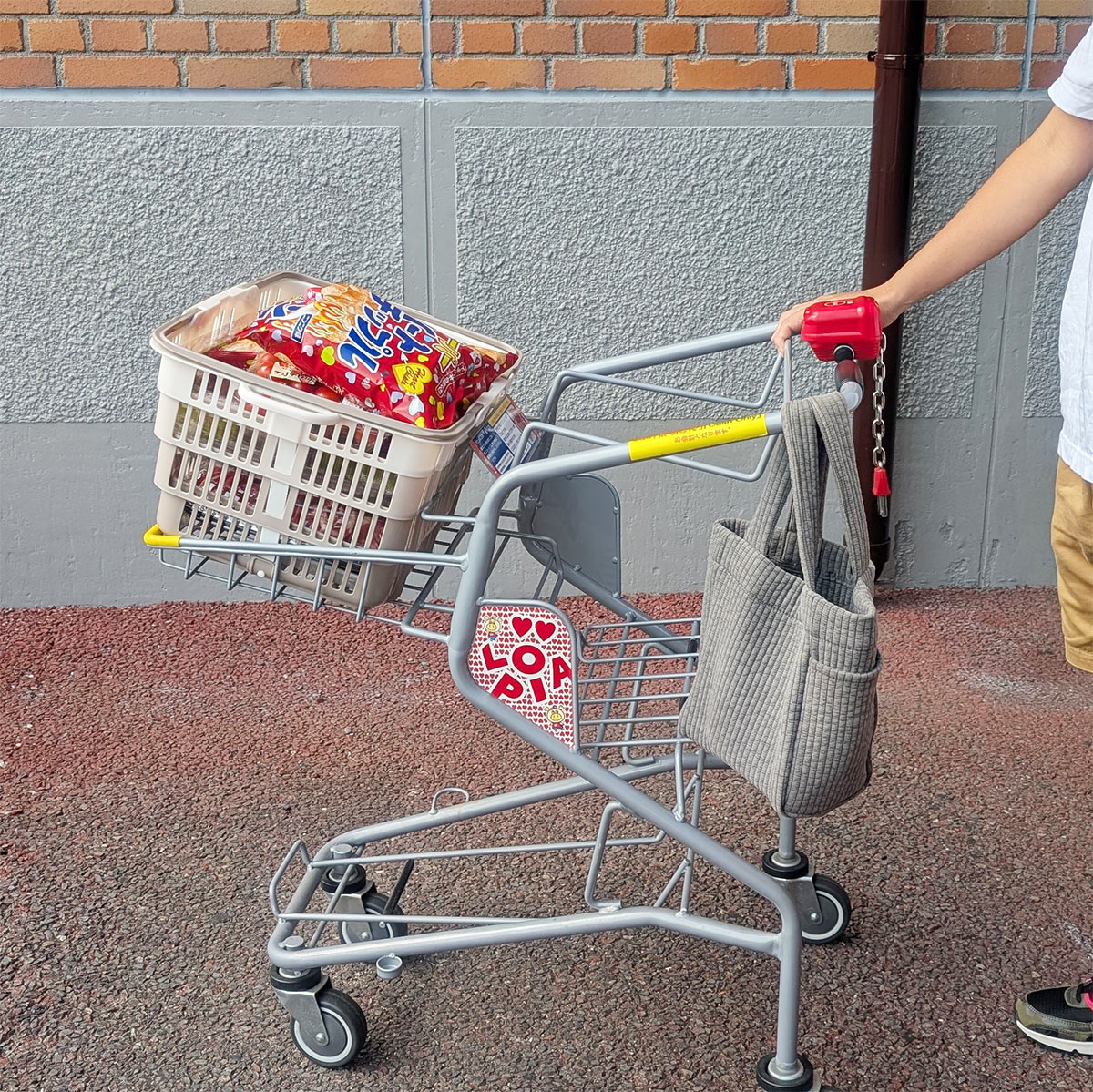 “便利だけどかさばる問題”を解決！折り畳めるレジカゴ＆まるごと保冷バッグでまとめ買いをスムーズに
