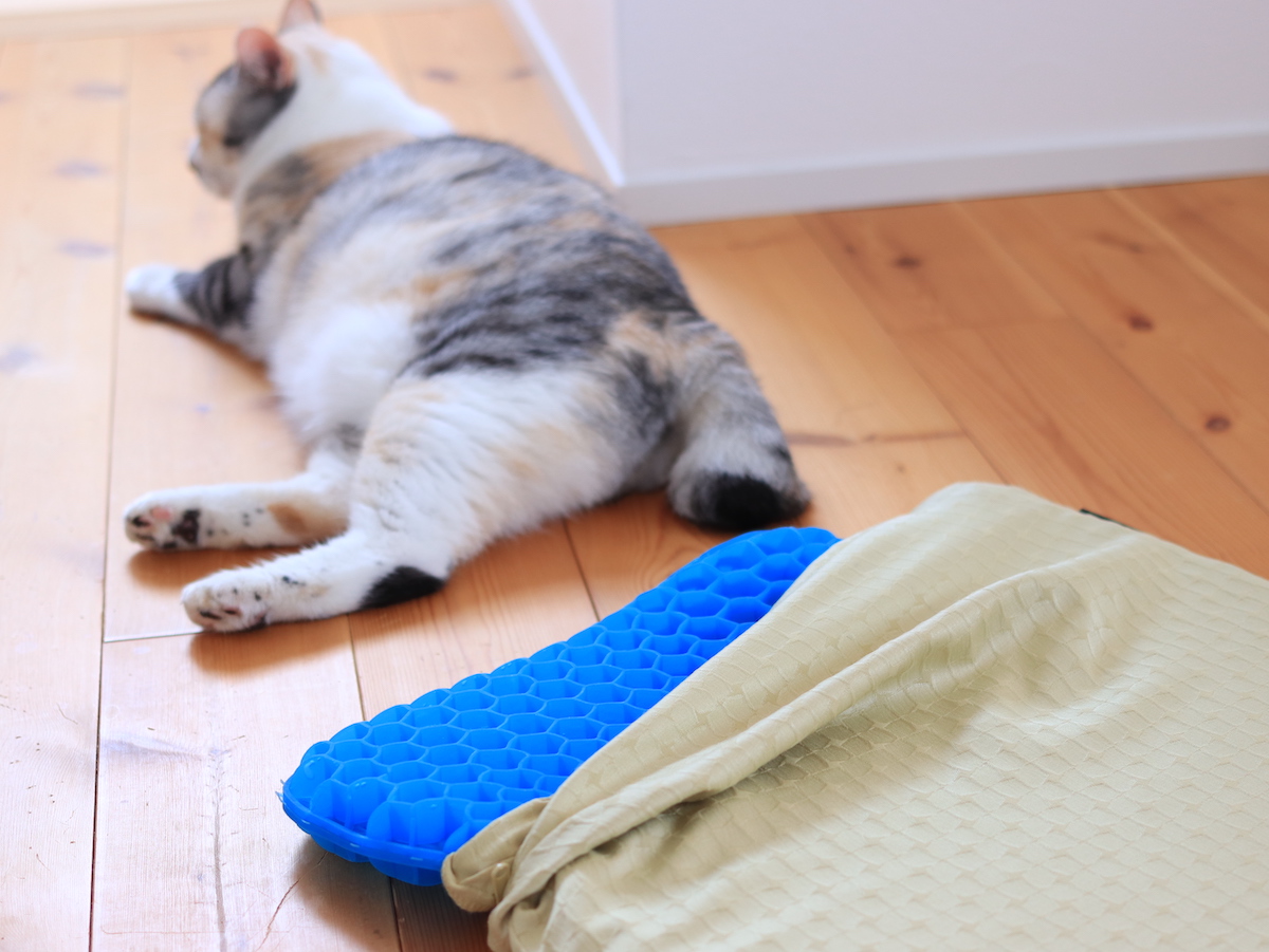 腰イタタ…の救世主！スタッフも愛用の『無重力クッション』、インテリアに馴染む愛用風景をご紹介