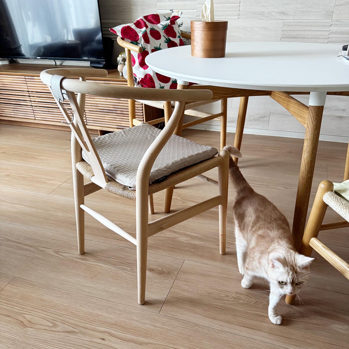 腰イタタ…の救世主！スタッフも愛用の『無重力クッション』、インテリアに馴染む愛用風景をご紹介