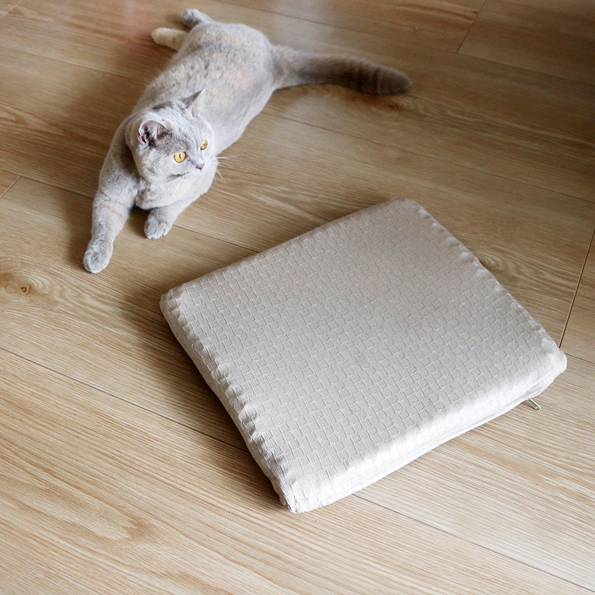 腰イタタ…の救世主！スタッフも愛用の『無重力クッション』、インテリアに馴染む愛用風景をご紹介