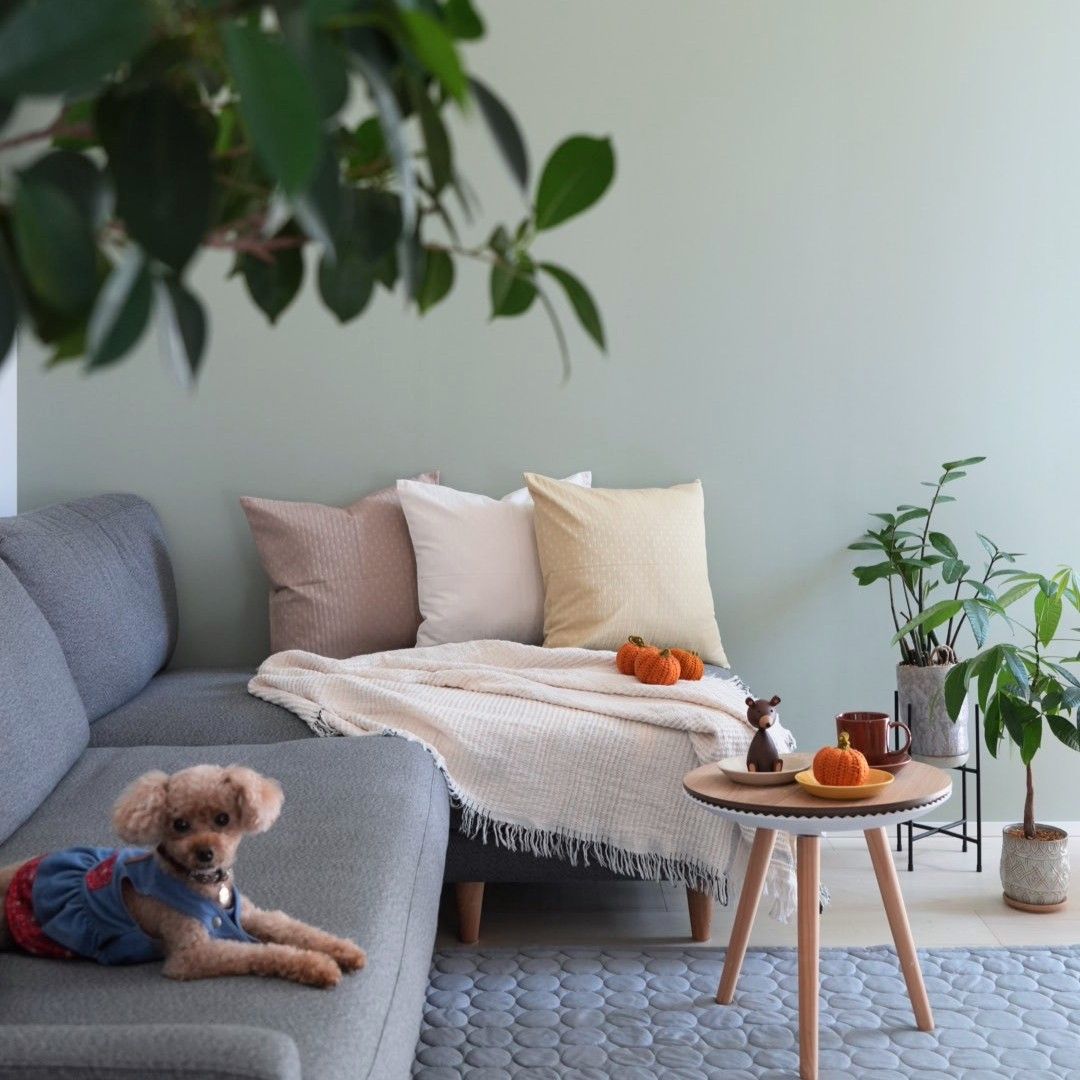 「シンプルすぎて、もはや殺風景」を卒業！クッションカバーではじめるお手軽模様替え【インスタグラマーさんのもの選び】