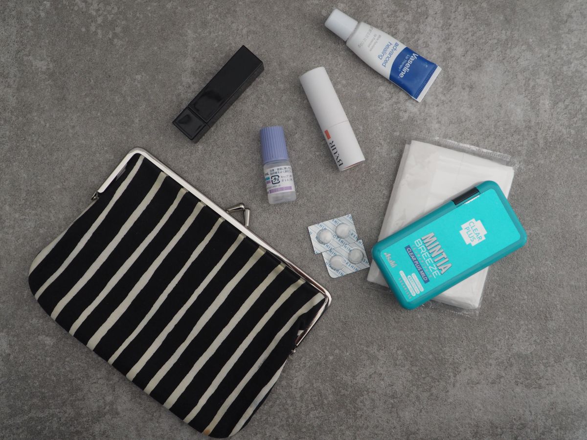 探しやすい手帳型で、小物迷子が解決！「旅上手になれる手帳型ミニポーチ」が、日常使いにもぴったりだった話