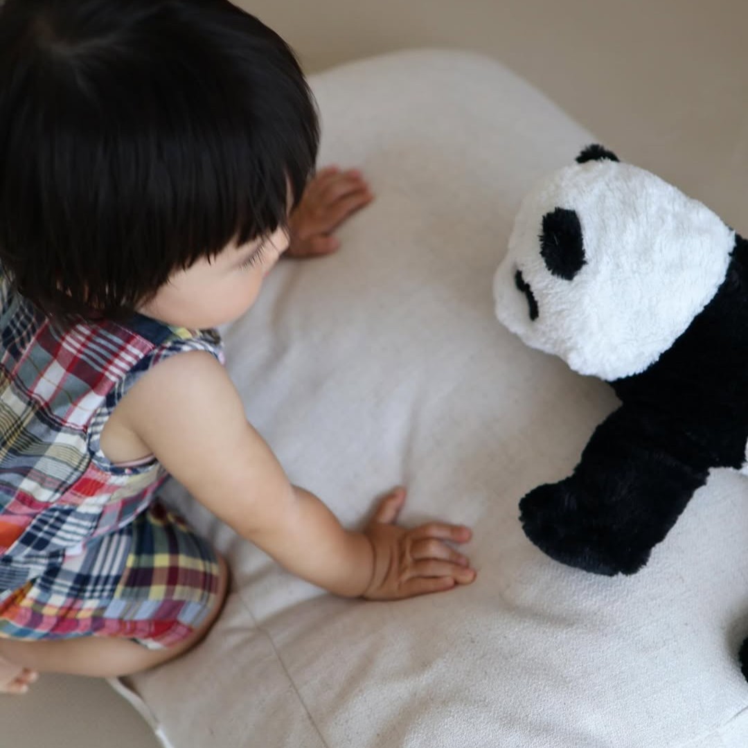 布団収納スペースにお困りの人、集まれ！『背もたれになる布団収納ケース』がIGさんのお家でも活躍中